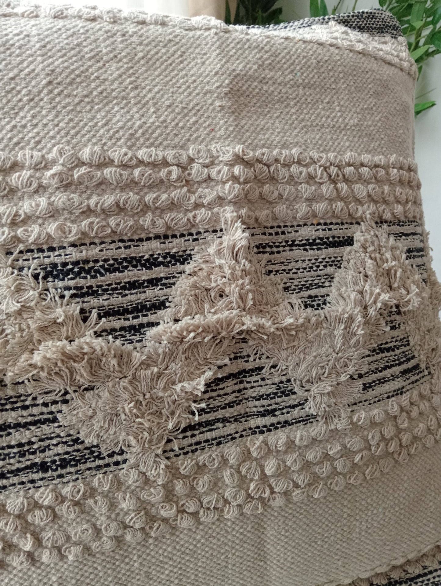 The Sierra Fringe Cover