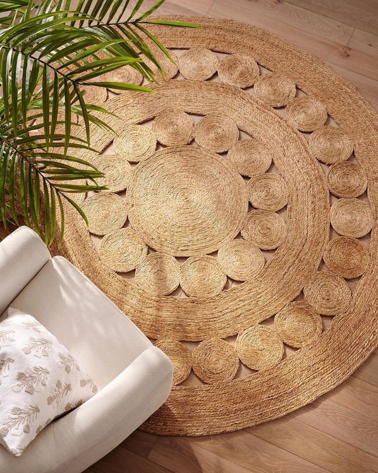 Braided Jute Rugs
