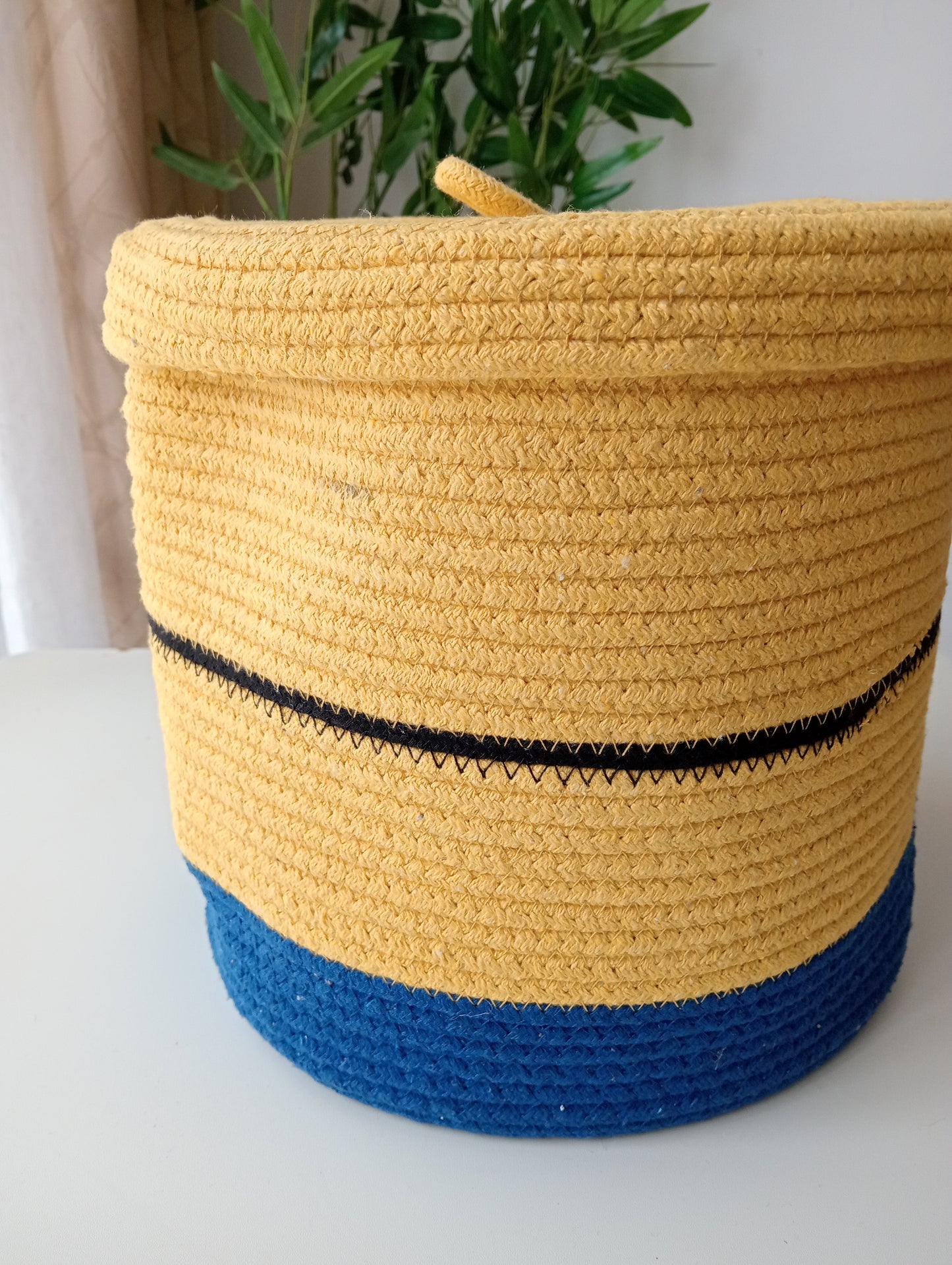 The Minion Buddy Basket