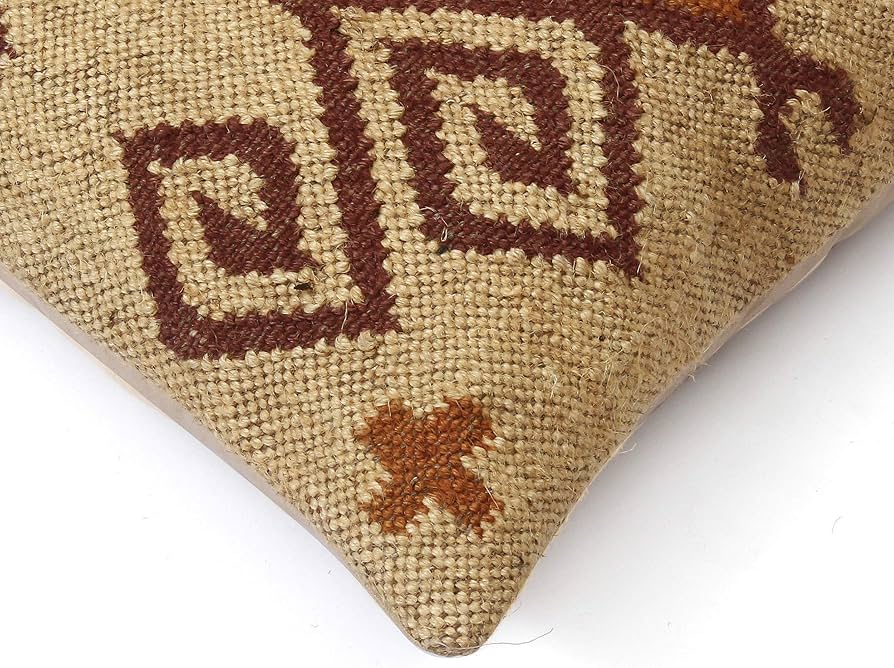 The Alpaca Geo Cover