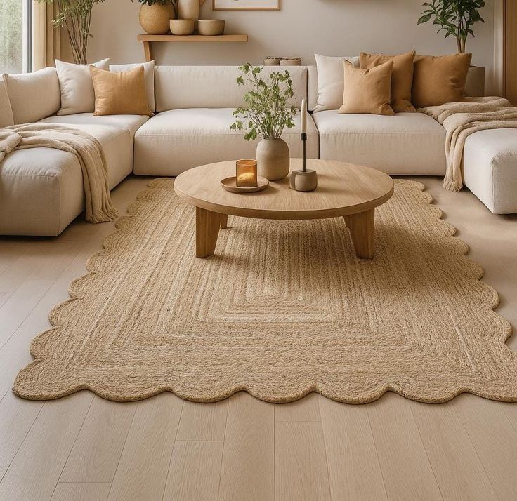 Aria Braided Jute Rug (5 by 8ft)