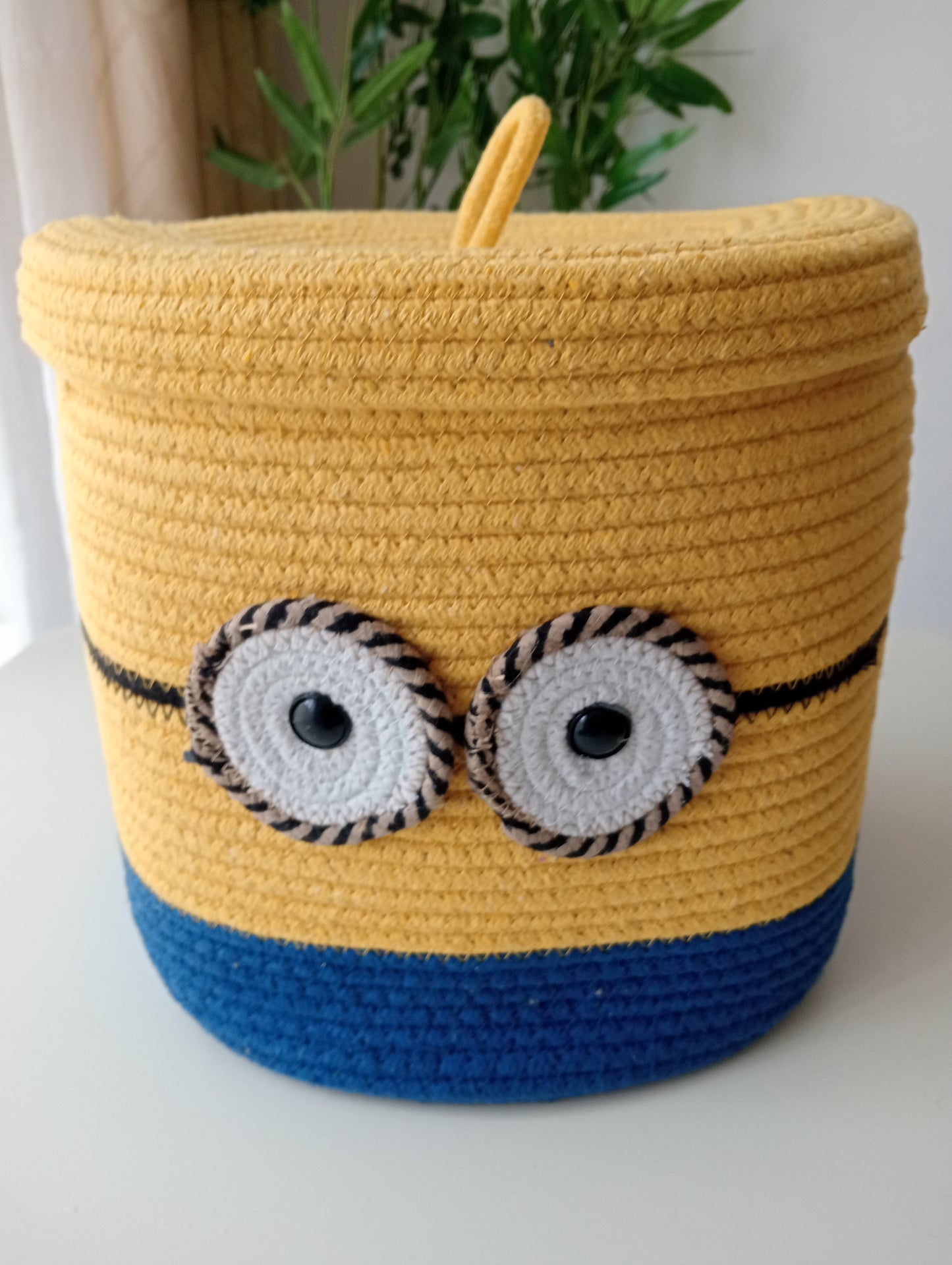 The Minion Buddy Basket