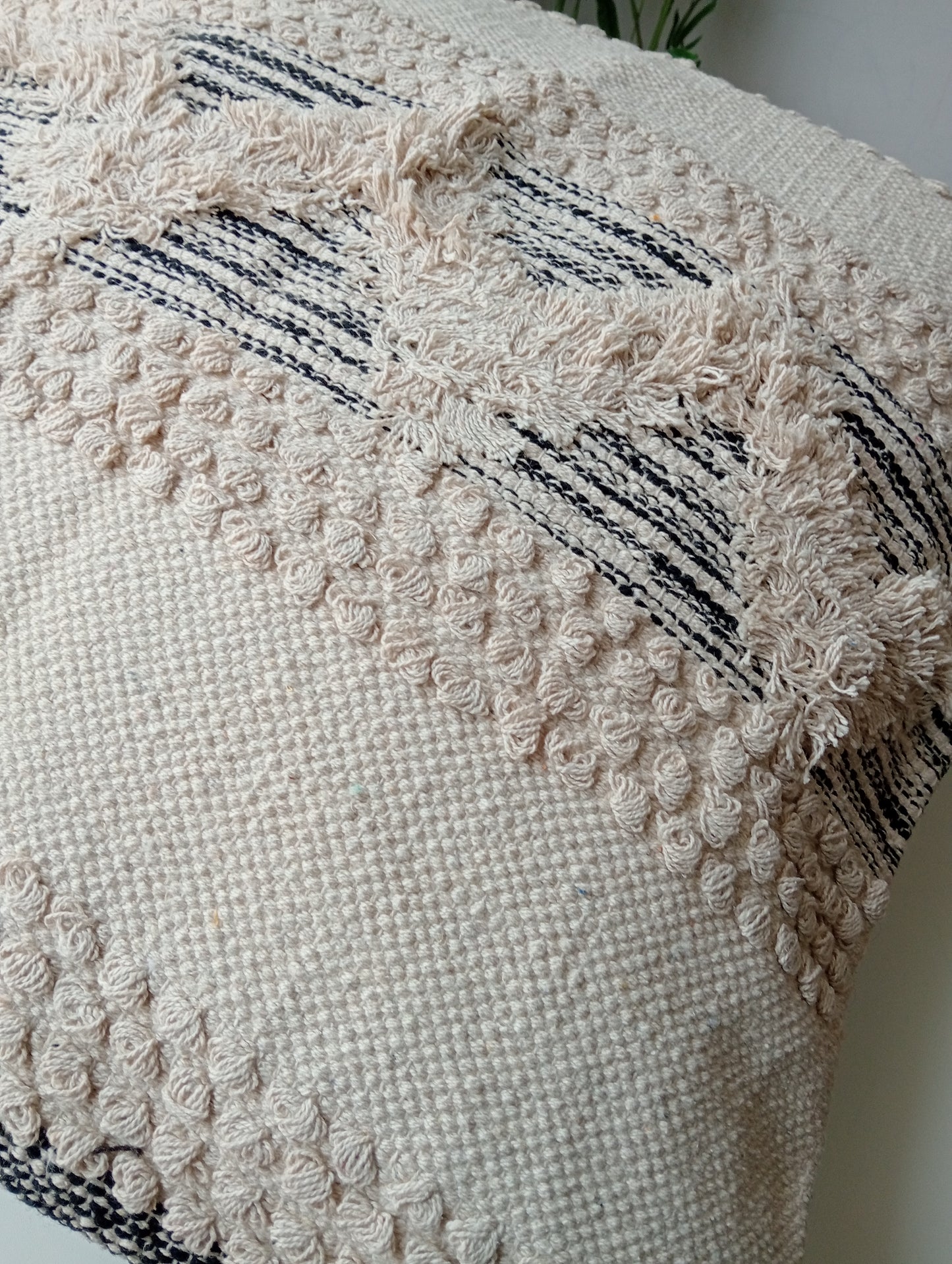 The Sierra Fringe Cover